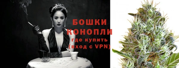 сатива Костерёво