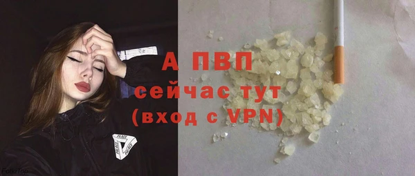 прущие грибы Россошь