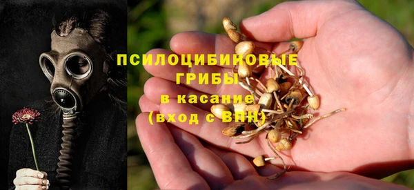 гидропоника Алексин