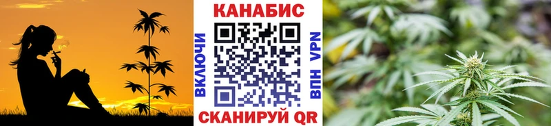 Марихуана сатива  наркотики  Хвалынск 